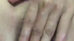 Bokep Mslutty