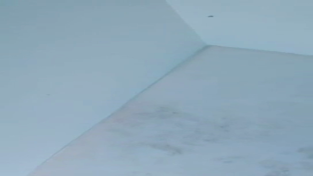 Exe Janda Montok
